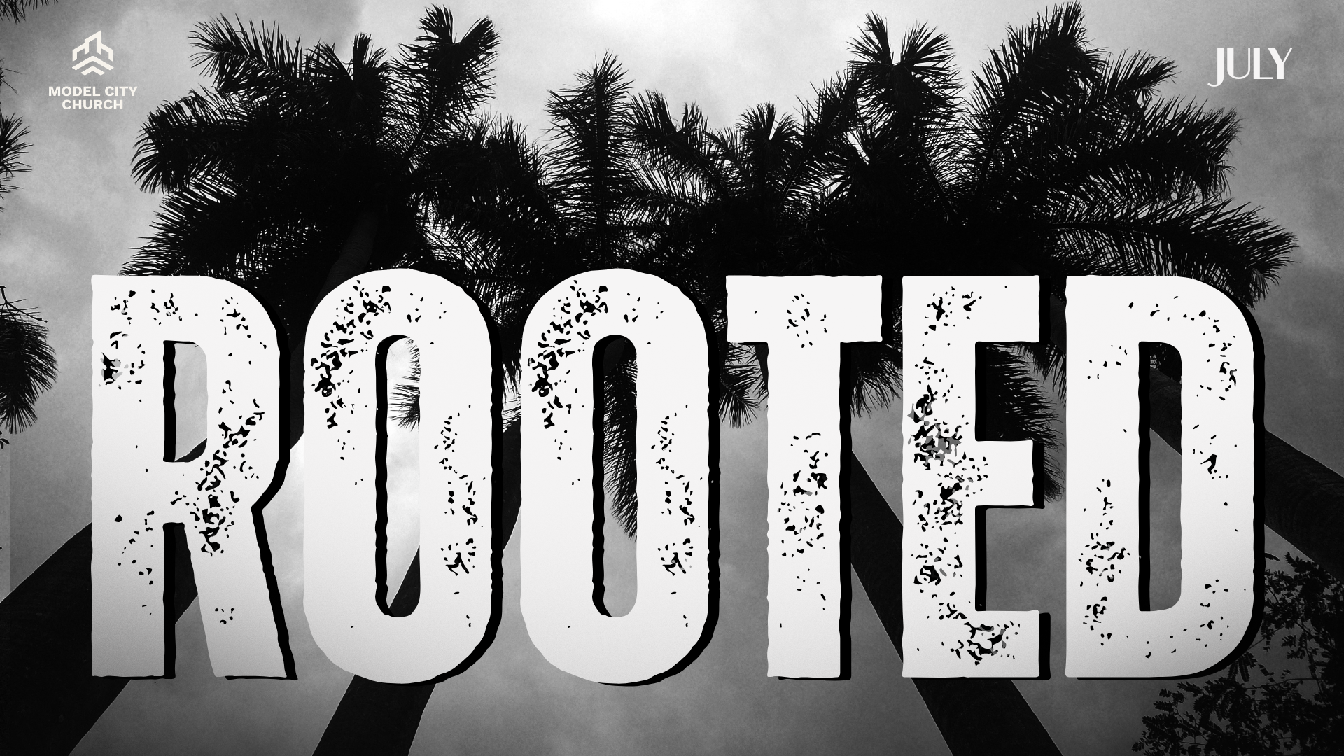 ROOTED